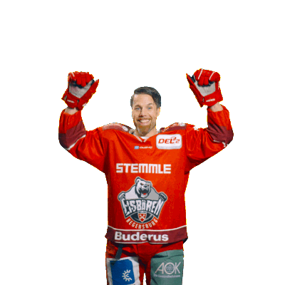 Goal Win Sticker by Eisbären Regensburg