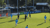 Usl Championship Chs GIF by Charleston Battery
