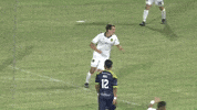 South Carolina Soccer GIF by Charleston Battery