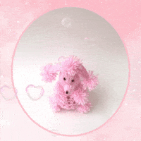 Chocolate Orange Cute Dog GIF by TeaCosyFolk