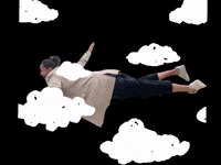 Fly Flying GIF by Sonder