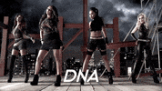 Dna GIF by Little Mix