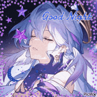llamaalegend night good night robin hsr GIF