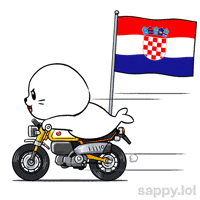 Lets Go Football GIF by Sappy Seals