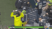 Regular Season Football GIF by NFL