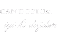 Birthday Iyiki Sticker