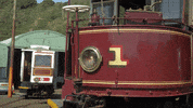 Isle Of Man Mer GIF by Culture Vannin