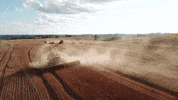 sementescerquinha plant agricultura agriculture agronegocio GIF