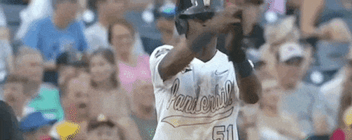 College World Series Baseball GIF by NCAA Championships