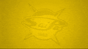 Saipa 20-21 GIF by WhiteWhale