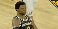 Go Blue New York City GIF by Michigan Athletics