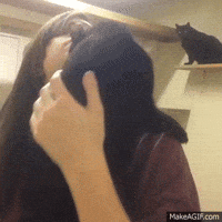 cats hugs GIF