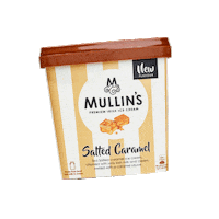 mullins_icecream ice cream dessert milk icecream Sticker