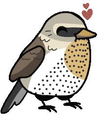 Bird Vogel Sticker by mahoniemoni