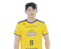 Kb스타즈 Sticker by KB STARS VOLLEYBALL CLUB