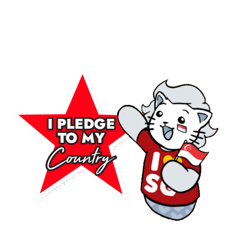 NDPeepsSG giphyupload singapore august ndp Sticker