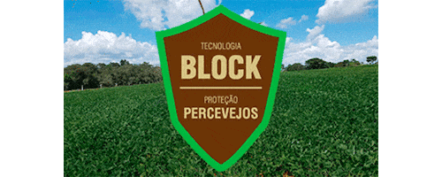 fundacaomeridional giphyupload giphythatsgonnabeanofrommedawg block soja Sticker