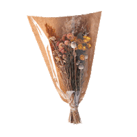 Flower Boho Sticker by home24