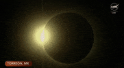 Solar Eclipse GIF by NASA