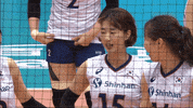 volleyballworld volleyball korea knock knock knock GIF