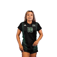 HRewards 10 uh hawaii athletics rainbow wahine Sticker