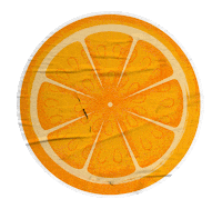 Orange Fruit Sticker by Extrafruti