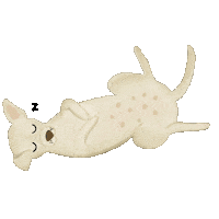 Dog Sono Sticker by Carol Fernandes
