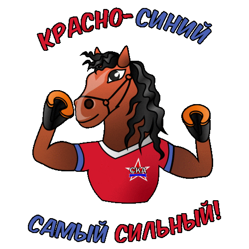 Хабаровск Sticker by FC SKA