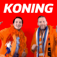 visualbrand netherlands nederland koningsdag kingsday GIF