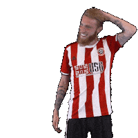 Premier League Soccer Sticker by Sheffield United Football Club