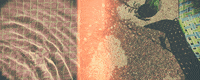 Swimming Pool Water GIF by Robert Matejcek
