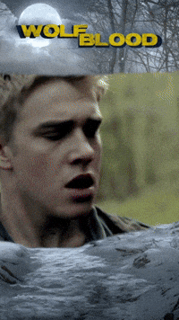 Wolfblood - Transformation