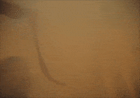 Music Video Ii GIF by Mother Mother