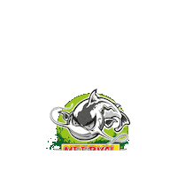 meervalshop catfish dam waller meerval Sticker