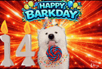 Birthday Benji GIF