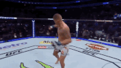 ufc 229 sport GIF by UFC