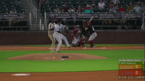 tesstass giphyupload GIF