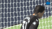 Football Sport GIF by MolaTV