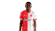 Football Soccer Sticker by SK Slavia Praha