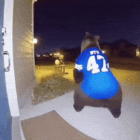 Byu Football GIF