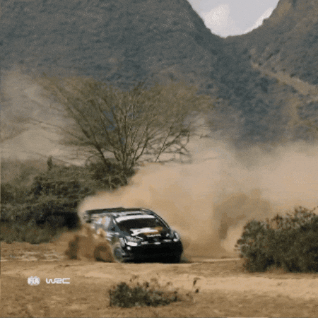 Sliding Full Throttle GIF by FIA World Rally Championship