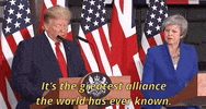 donald trump uk state visit 2019 GIF