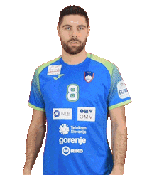 Handball Euro Sticker by Rokometna zveza