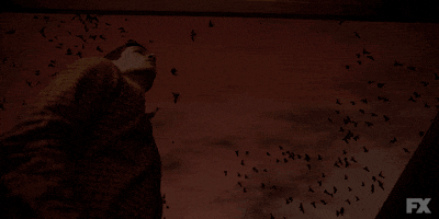 flying american horror story GIF by AHS