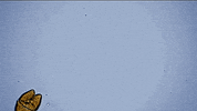Sea Crab GIF by PBS Digital Studios