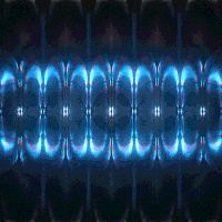 kronogenesis megasoma GIF