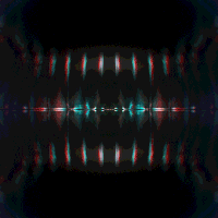 kronogenesis megasoma GIF