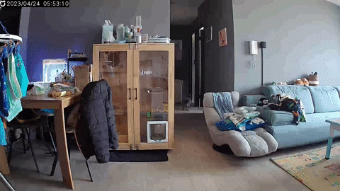cuteanimalland giphyupload GIF