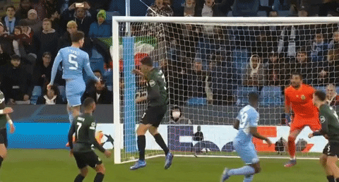 kareljedlika giphyupload GIF