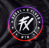 Segue O Fluxo GIF